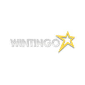 WinTingo 500x500_white